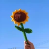 Winning the championship in one go: sunflower Popsicle making handicrafts, home decoration and arrangement, creative gifts, artworks, graduation gifts, knitted mini woolen bouquets, simulated cream puffs, little chanese-style birthday gifts, kindergarten graduation bouquets Application Scenario